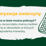 Inwentaryzacja zwierzyny