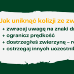 Jak uniknąć kolizji z dzikim zwierzęciem