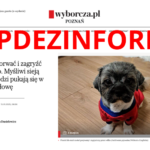 stopdezynformacji Żądanie sprostowania i stanowisko w sprawie publikacji autorstwa Marty Danielewicz w „Gazecie Wyborczej”